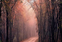 杨过爱恶作剧 郭襄自顾不暇